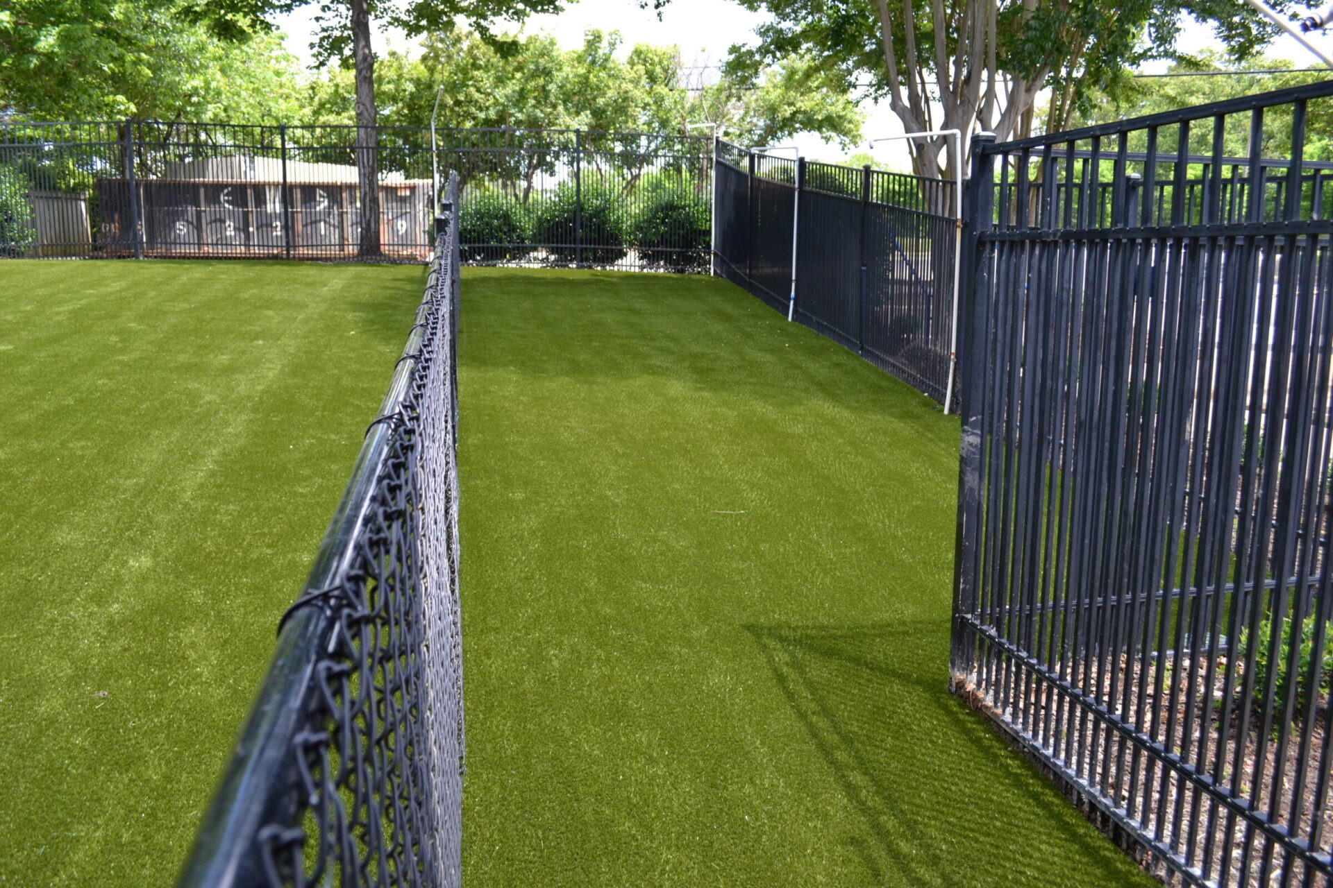 This image shows an empty outdoor area with artificial green turf surrounded by black metal fencing under a clear sky with trees in the background.