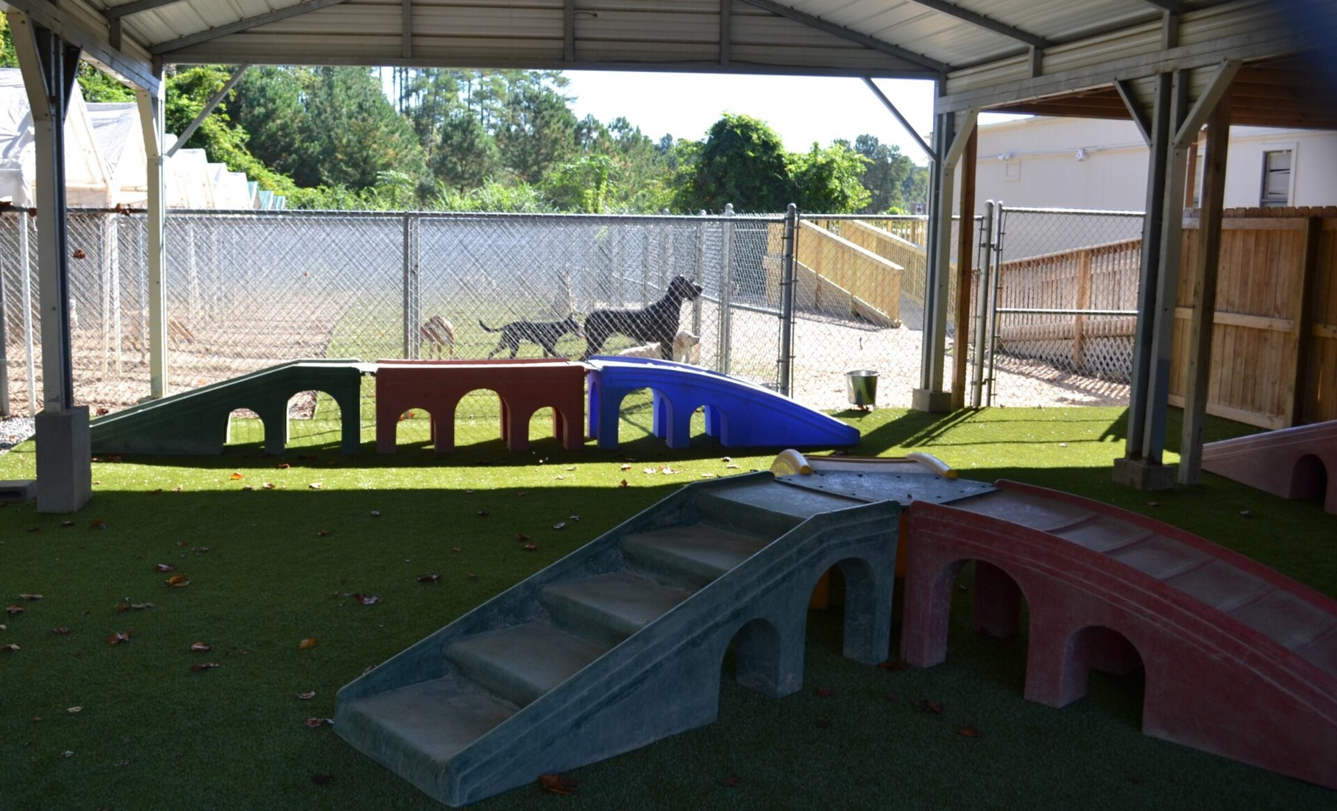An outdoor dog playground with artificial grass, ramps, and stairs under a shelter, with two dogs in the background behind a fence.