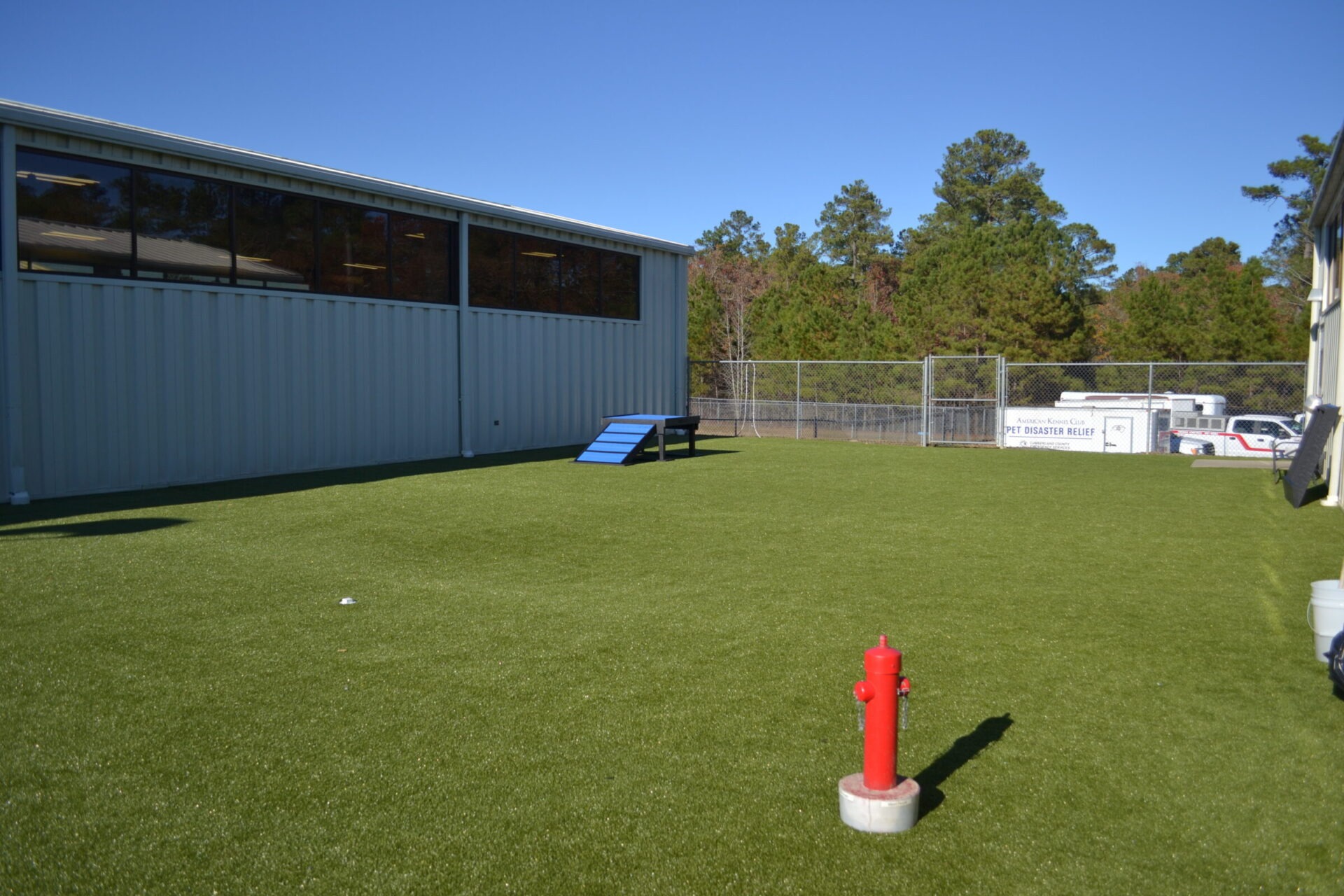 The image shows an outdoor area with artificial turf, a fire hydrant, a blue ramp, a chain-link fence, trees, and a metal building.