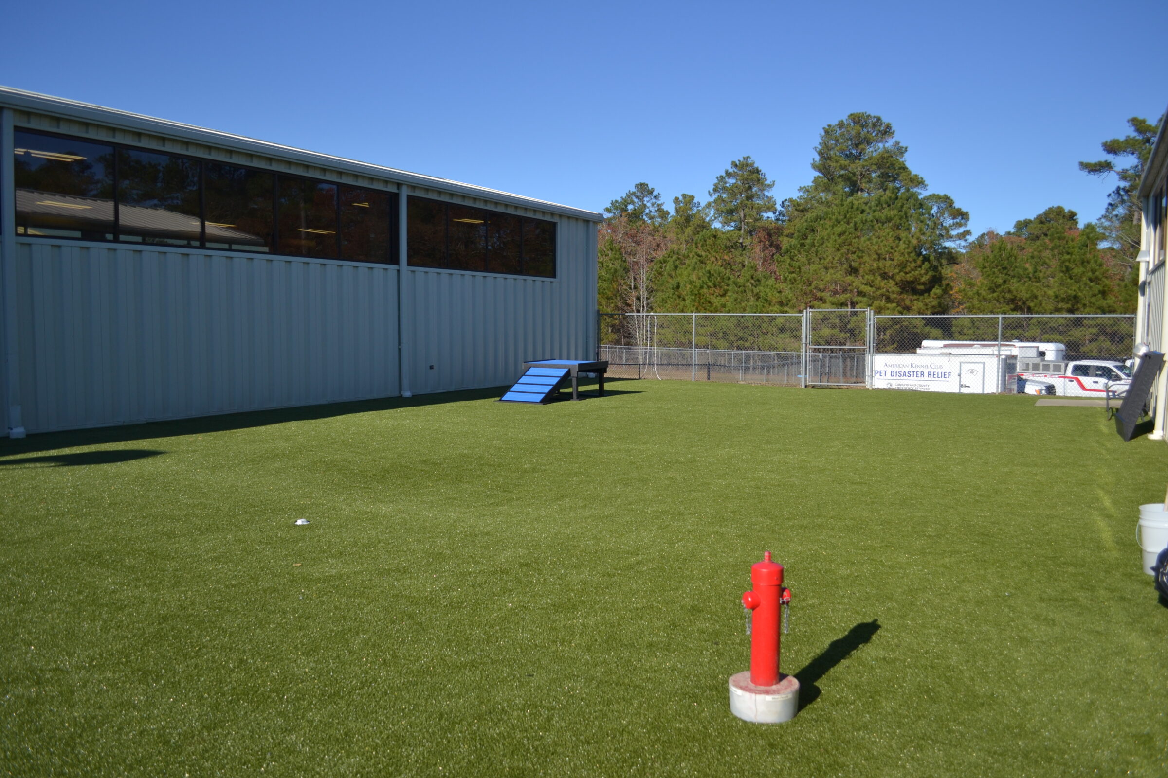 The image shows an outdoor area with artificial turf, a fire hydrant, a blue ramp, a chain-link fence, trees, and a metal building.