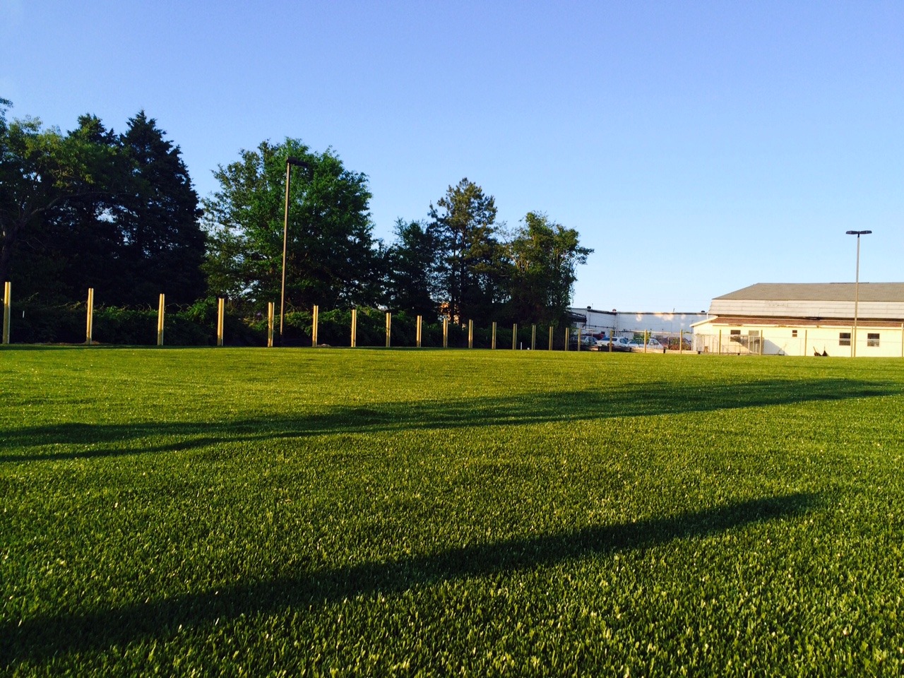 A well-manicured green field with a row of wood posts, trees, and buildings in the background under a clear blue sky during golden hour.