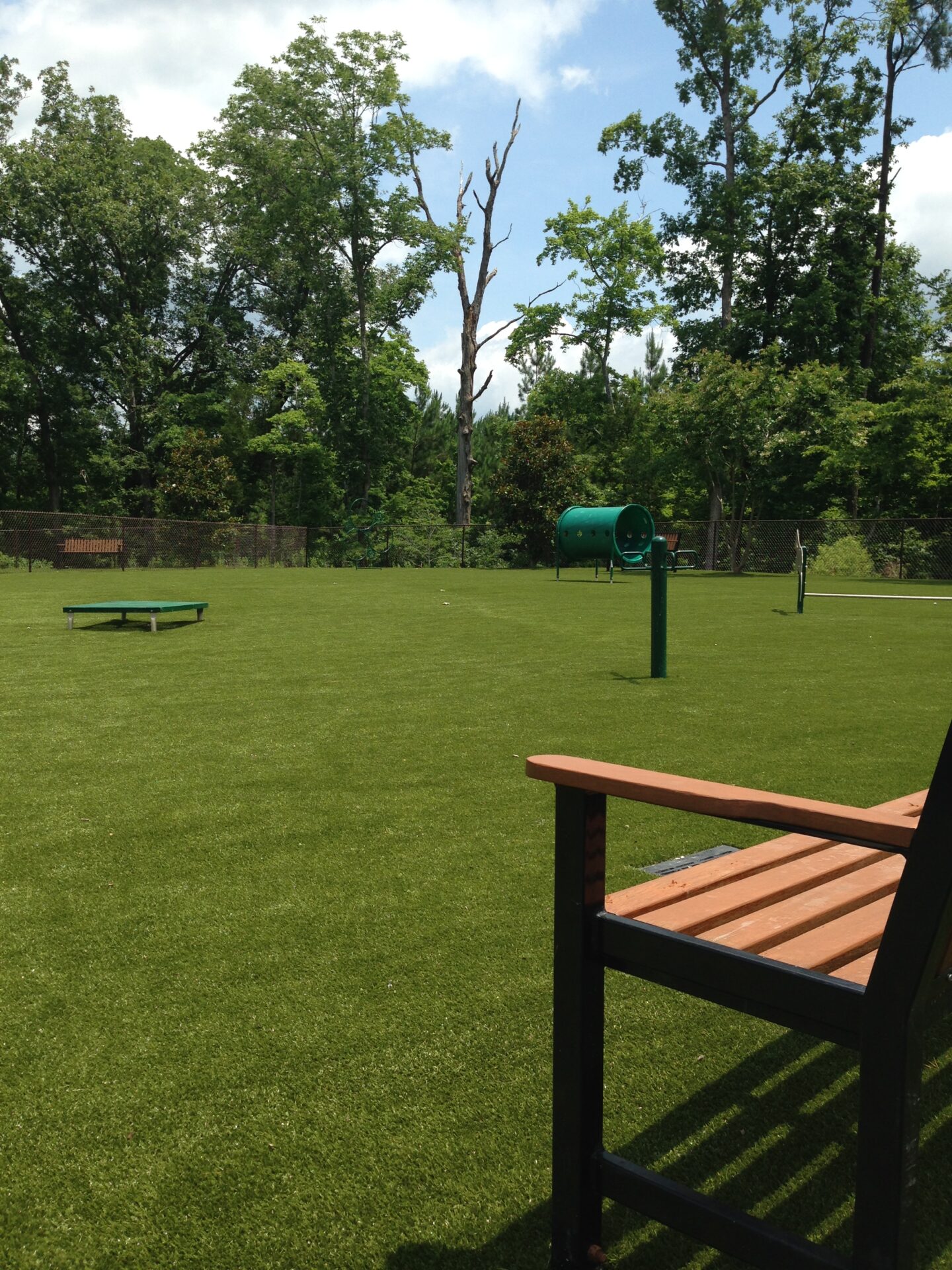 A park with green artificial turf showcases a playground with a green play tunnel, bench, lush trees in the background, and a clear blue sky.