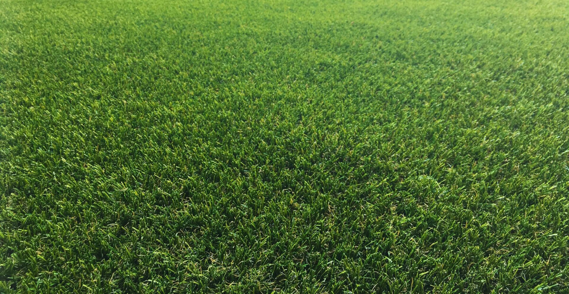 This image shows a close-up view of a vibrant green, freshly mowed lawn, stretching out evenly across the frame with no visible imperfections.