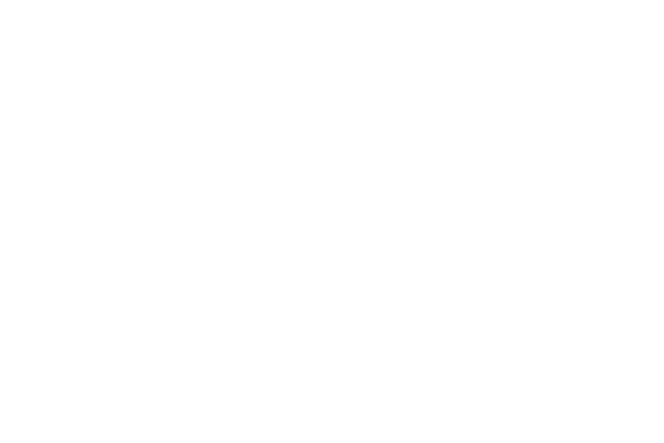 AtlantaHawks-Logo