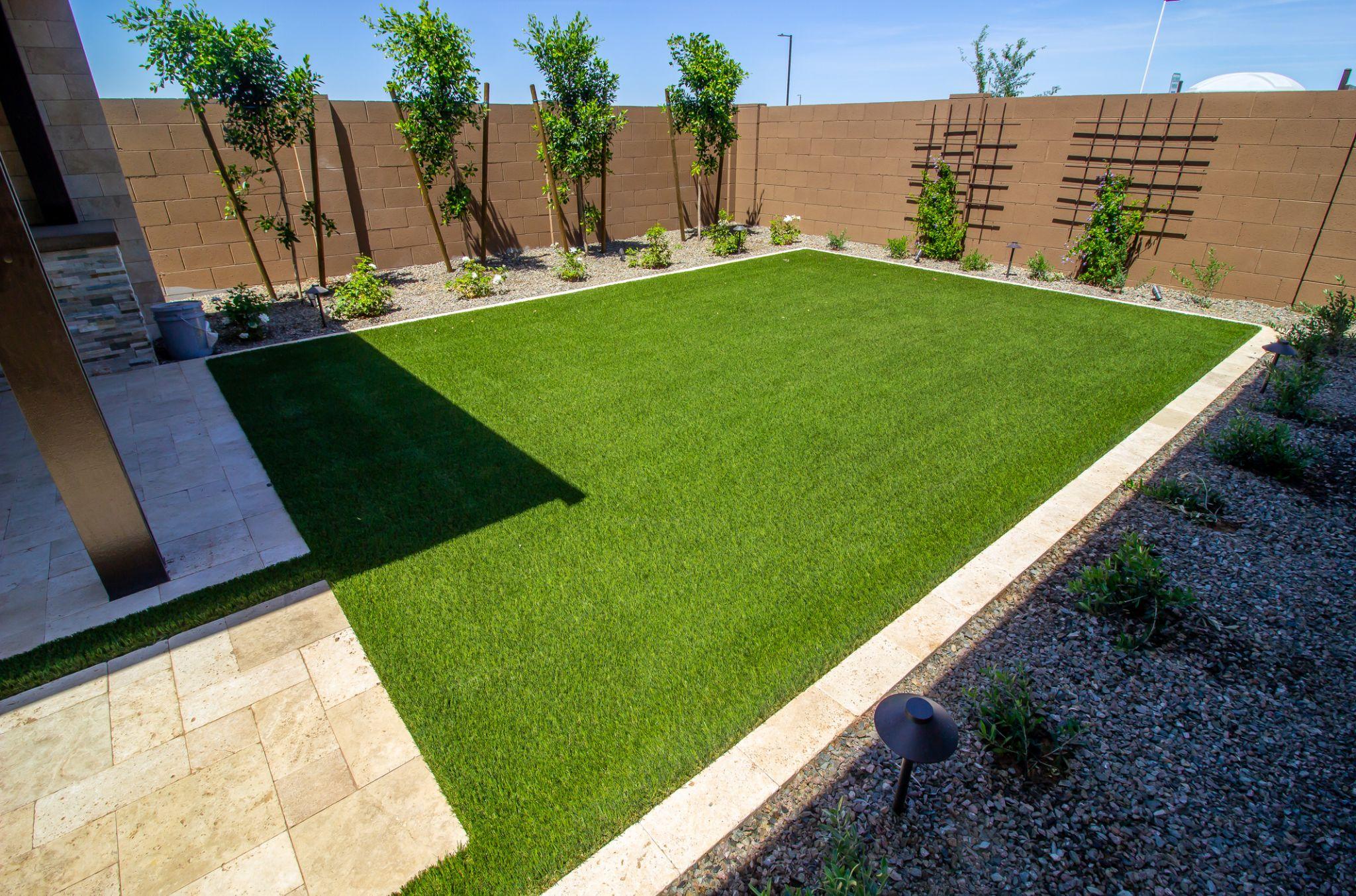 Landscaped Rear Yard Setting With Trees, Vines And Grass